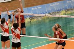DSC_9471-ce1a16769c931c3a2c2875b6f32eecc4