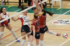 DSC_9080-9f28755b521e407c39e16ba63add7200